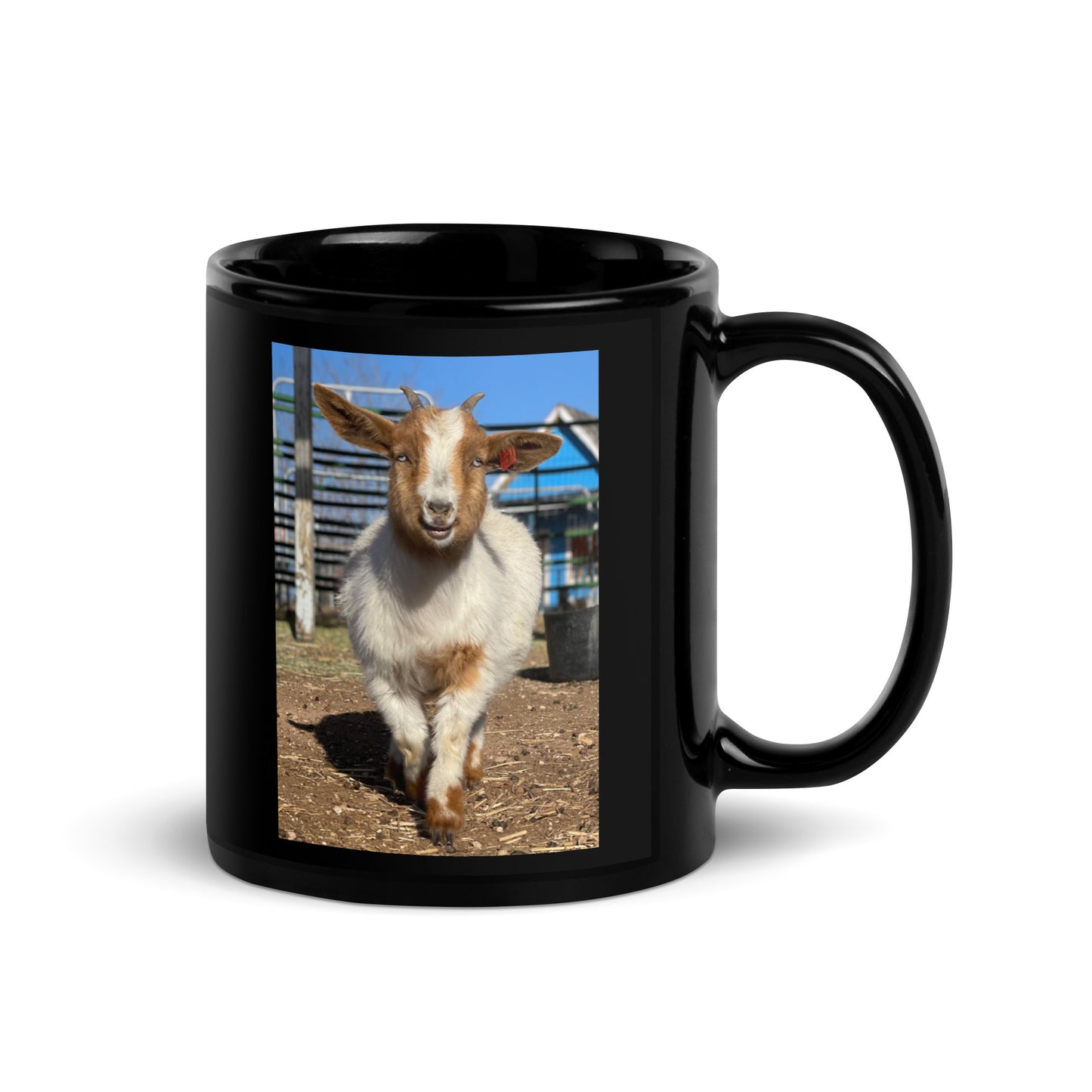 Tiny Dancer: Black Glossy Mug